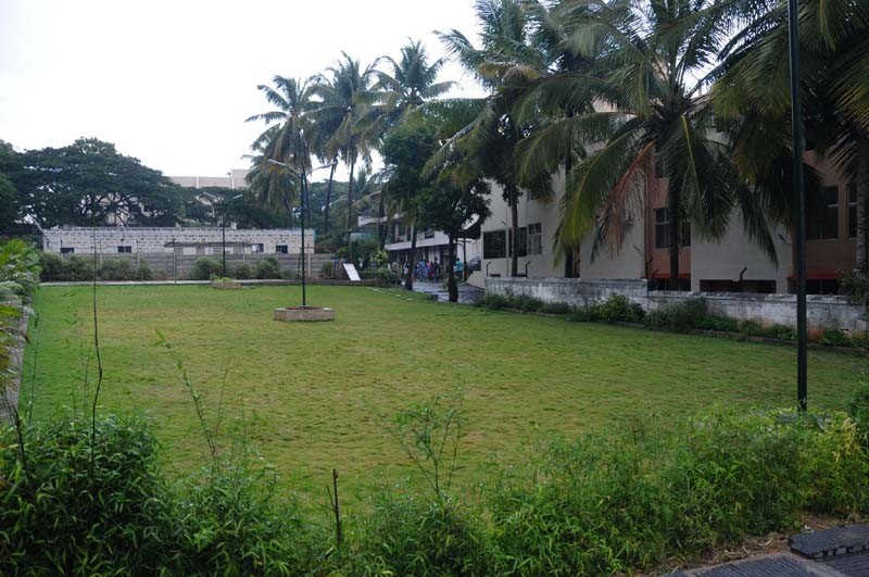 Mayflower lawn area